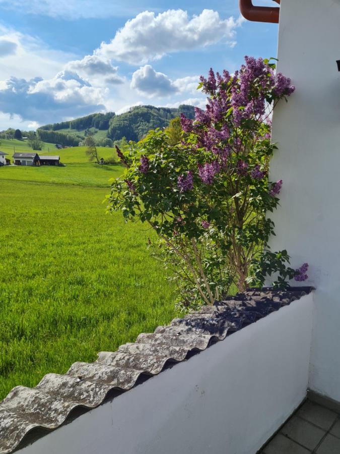 Ferienhaus Traunsteinblick Nachdemsee Exterior foto